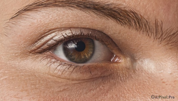 solo,looking at viewer,1boy,brown eyes,male focus,eyelashes,close-up,1other,reflection,realistic,eye focus,yellow eyes,black eyes,colored sclera,one-eyed,brown theme