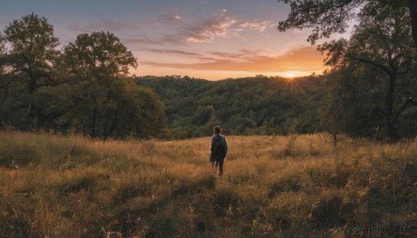 1girl,solo,short hair,skirt,black hair,1boy,standing,outdoors,sky,cloud,bag,from behind,tree,sunlight,cloudy sky,grass,nature,scenery,forest,sunset,mountain,sun,field,wide shot,twilight,hill,male focus,signature,backpack,walking,landscape,path