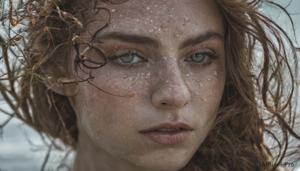 1girl,solo,long hair,looking at viewer,blue eyes,brown hair,parted lips,teeth,lips,grey eyes,eyelashes,portrait,close-up,realistic,nose,green eyes,outdoors,sky,glasses,blurry,tree,floating hair,depth of field,blurry background,wind,messy hair,snow,freckles,bare tree