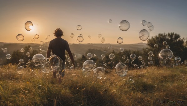 solo, short hair, shirt, black hair, 1boy, standing, male focus, outdoors, sky, pants, from behind, tree, grass, nature, scenery, bubble, sunset, facing away, field