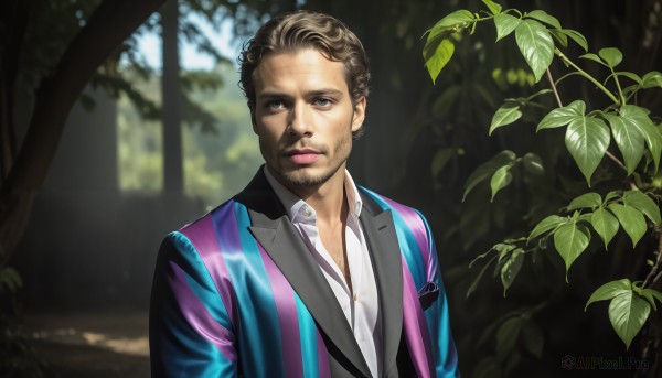 HQ,solo,looking at viewer,short hair,brown hair,shirt,1boy,brown eyes,closed mouth,jacket,white shirt,upper body,male focus,outdoors,day,striped,collared shirt,blurry,black eyes,tree,lips,dress shirt,blurry background,facial hair,leaf,formal,suit,nature,beard,forest,realistic,vest,plant,animification