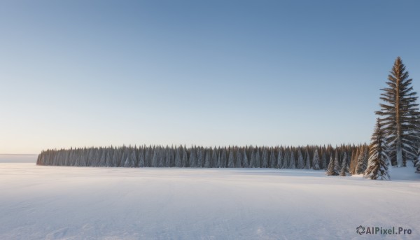 outdoors,sky,day,tree,blue sky,no humans,nature,scenery,snow,forest,mountain,winter,bare tree,landscape,gradient sky,pine tree,cloud,water,ocean,reflection,horizon,lake,sunrise