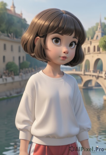 1girl,solo,looking at viewer,short hair,bangs,brown hair,shirt,long sleeves,brown eyes,closed mouth,standing,white shirt,outdoors,sky,day,pants,water,blurry,sweater,tree,blue sky,lips,depth of field,blurry background,bob cut,thick eyebrows,building,child,arms at sides,female child,white sweater,red shorts,river,lake,upper body,shorts,eyelashes,bridge,castle