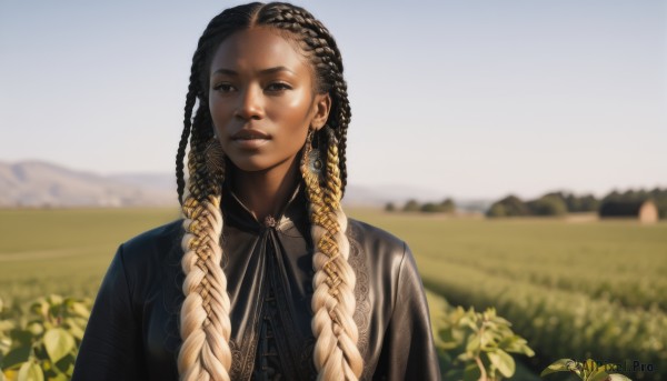 1girl,solo,long hair,looking at viewer,blonde hair,black hair,dress,ribbon,brown eyes,jewelry,upper body,braid,flower,multicolored hair,earrings,outdoors,parted lips,day,dark skin,blurry,black dress,twin braids,two-tone hair,dark-skinned female,lips,depth of field,blurry background,forehead,realistic,nose,field,very dark skin,dreadlocks,multiple braids,bow,closed mouth,sky,blue sky,looking to the side,leaf,grass,asymmetrical hair