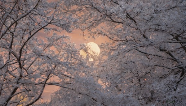 A enchanting sunset outdoors highlighting a landscape