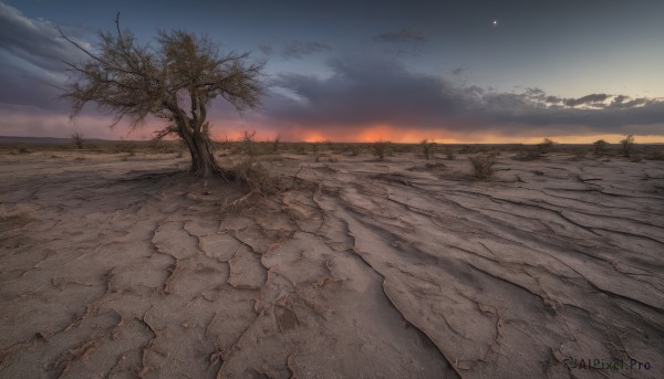 outdoors,sky,cloud,tree,no humans,moon,cloudy sky,scenery,sunset,sun,horizon,road,bare tree,landscape,desert,night,grass,star (sky),nature,sand