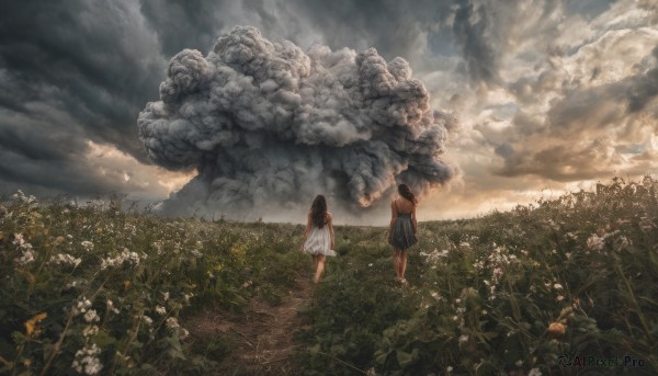 A unique subject set against the backdrop of a captivating outdoors