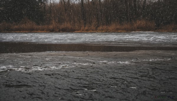 A glimpse of a unique subject in a picturesque snowy outdoors