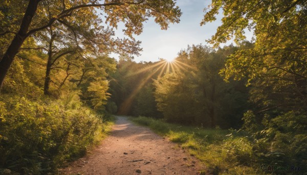 A tranquil view of a landscape in sunset day