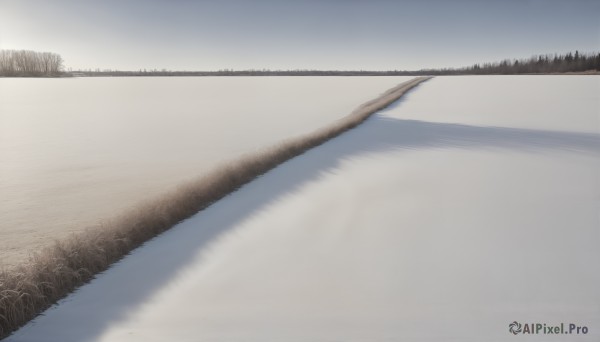 The charm of a landscape in a bold snowy day
