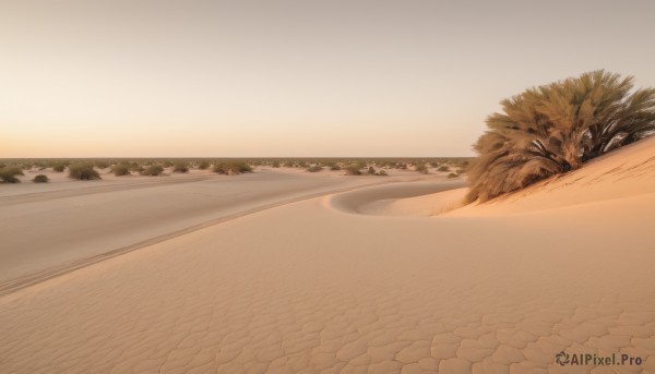 The charm of a landscape in a bold sunset day