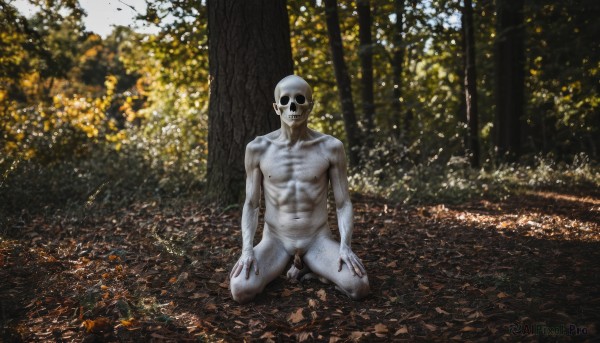 solo,looking at viewer,1boy,nipples,full body,male focus,nude,outdoors,penis,day,tree,pubic hair,completely nude,kneeling,muscular,leaf,abs,nature,male pubic hair,forest,skull,realistic,autumn leaves,bald,ribs,skeleton,autumn,flaccid,horror (theme),no humans,what