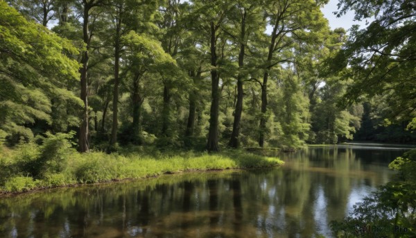 The allure of a landscape in a inviting day