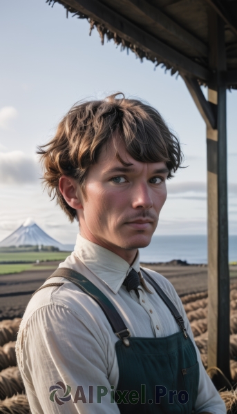 solo,looking at viewer,short hair,brown hair,shirt,black hair,long sleeves,1boy,brown eyes,closed mouth,white shirt,upper body,male focus,outdoors,sky,day,collared shirt,bowtie,blurry,blurry background,facial hair,suspenders,mountain,realistic,overalls,mountainous horizon,bangs,necktie,cloud,blue sky,lips,sunlight,wing collar,black necktie,mustache