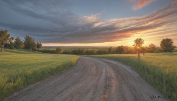 outdoors,sky,day,cloud,tree,blue sky,no humans,sunlight,cloudy sky,grass,plant,nature,scenery,forest,sunset,sun,horizon,road,bush,field,evening,landscape,path