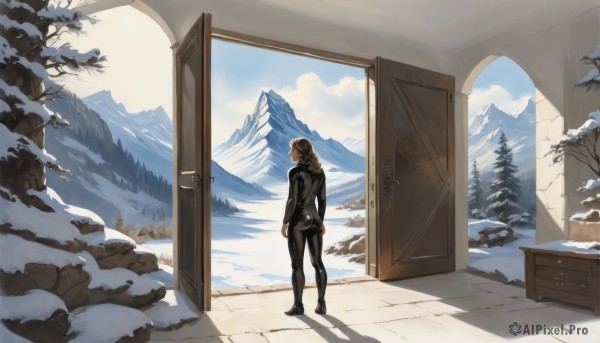 1girl,solo,long hair,blonde hair,brown hair,standing,ass,outdoors,sky,day,looking back,cloud,indoors,from behind,tree,blue sky,window,bodysuit,shadow,scenery,skin tight,snow,mountain,door,black bodysuit,winter,open door,wide shot