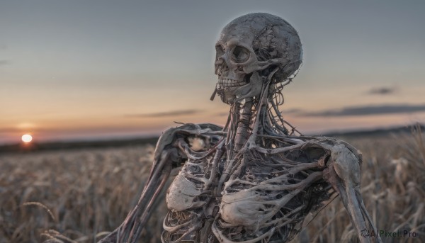 solo,upper body,outdoors,sky,blurry,no humans,blurry background,grass,robot,1other,science fiction,skull,sunset,sun,field,ribs,skeleton,bone,spine,depth of field,horizon,damaged,humanoid robot