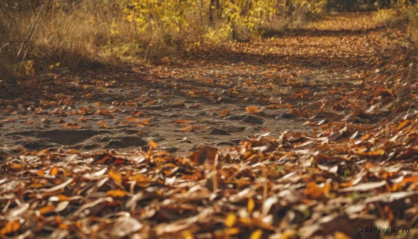 outdoors,day,water,blurry,tree,no humans,depth of field,leaf,traditional media,grass,nature,scenery,forest,autumn leaves,river,autumn,orange theme,from above,sunlight,plant,road,field