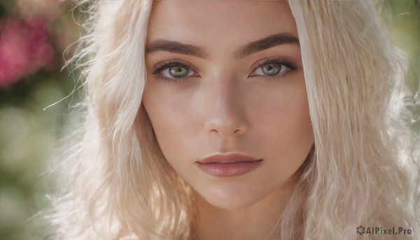 1girl,solo,long hair,looking at viewer,blue eyes,blonde hair,closed mouth,flower,white hair,parted lips,blurry,lips,grey eyes,eyelashes,depth of field,blurry background,wavy hair,portrait,close-up,realistic,nose,green eyes