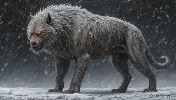 solo,looking at viewer,red eyes,standing,full body,outdoors,teeth,pokemon (creature),no humans,glowing,animal,fangs,sharp teeth,glowing eyes,claws,snow,monster,snowing,realistic,tusks