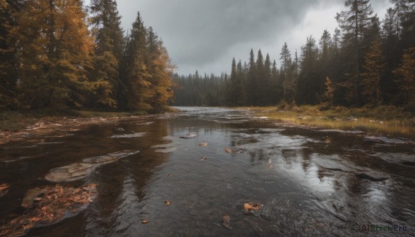 outdoors,sky,day,cloud,water,tree,no humans,leaf,cloudy sky,grass,nature,scenery,forest,reflection,mountain,autumn leaves,river,autumn,landscape,lake,puddle,grey sky,reflective water,road,stream,pine tree