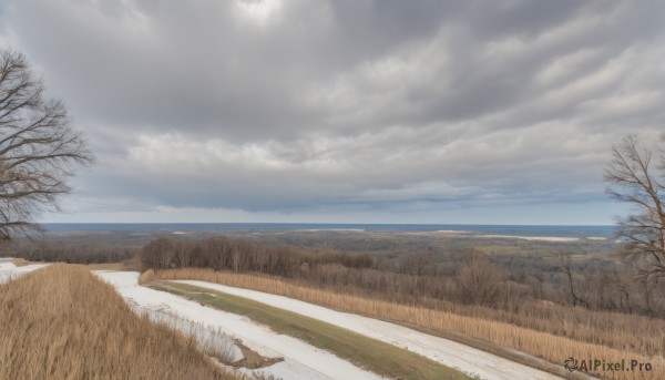 A landscape showcased in a bold day