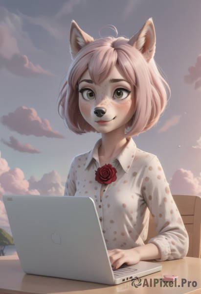 1girl,solo,blush,smile,short hair,bangs,shirt,long sleeves,animal ears,brown eyes,sitting,closed mouth,tail,white shirt,upper body,pink hair,flower,ahoge,outdoors,sky,collared shirt,artist name,cloud,rose,chair,table,cloudy sky,red flower,dog ears,furry,freckles,red rose,furry female,computer,laptop,looking at viewer,green eyes,lips,no humans,dress shirt,bob cut,polka dot