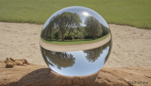 outdoors,sky,day,tree,cup,no humans,grass,nature,scenery,forest,reflection,rock,still life,blurry,blue sky,blurry background,shadow,ball,realistic,road