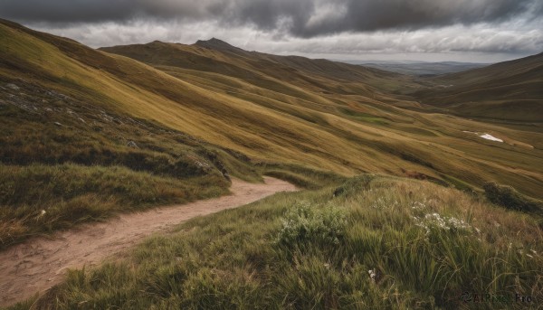 flower,outdoors,sky,day,cloud,no humans,cloudy sky,grass,nature,scenery,mountain,road,field,landscape,mountainous horizon,path,hill