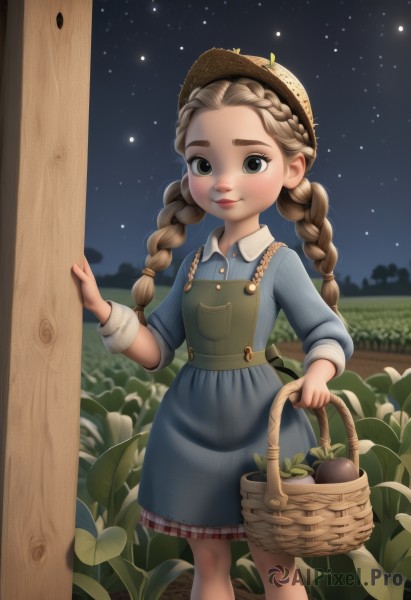 1girl,solo,long hair,looking at viewer,smile,skirt,brown hair,long sleeves,hat,dress,holding,twintails,closed mouth,standing,braid,outdoors,food,sky,artist name,black eyes,apron,twin braids,plaid,night,feet out of frame,blue dress,thick eyebrows,child,star (sky),night sky,forehead,starry sky,freckles,pocket,door,straw hat,basket,female child,doorway,holding basket,blue eyes,flower,short sleeves,lips,fruit,apple,eggplant