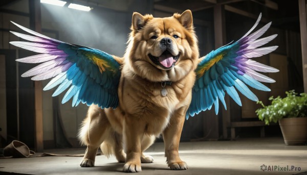 HQ,solo,open mouth,blue eyes,standing,full body,wings,tongue,indoors,tongue out,no humans,animal,plant,feathered wings,dog,realistic,potted plant,animal focus,dog tags,spread wings,cactus,looking at viewer,collar,window,fangs,sunlight,feathers,light rays,animal collar,multicolored wings