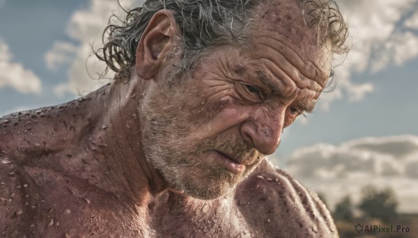 solo,1boy,closed mouth,male focus,outdoors,sky,day,cloud,blurry,black eyes,blue sky,blurry background,facial hair,portrait,beard,realistic,mustache,manly,old,dirty,old man,wrinkled skin,grey hair,cloudy sky,messy hair,close-up,chest hair