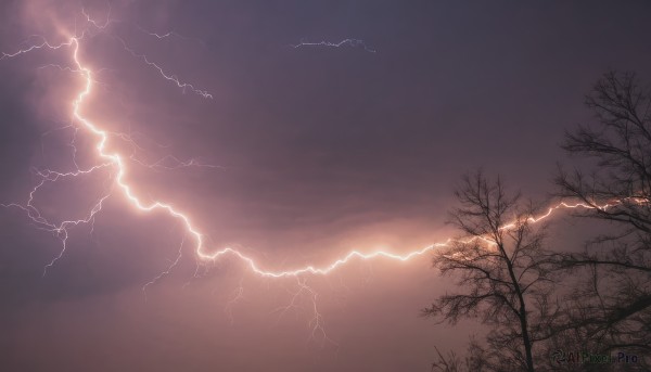 outdoors,sky,cloud,tree,no humans,cloudy sky,scenery,electricity,bare tree,lightning,nature,forest,sunset,mountain,dark,landscape