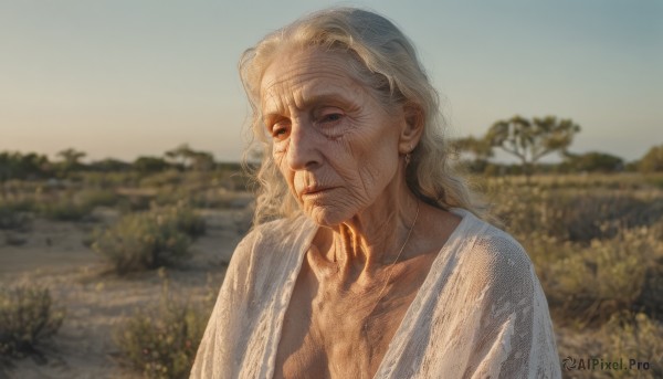 solo,long hair,looking at viewer,blue eyes,blonde hair,shirt,1boy,jewelry,closed mouth,white shirt,upper body,grey hair,male focus,earrings,outdoors,day,hand up,blurry,tree,blurry background,facial hair,scar,scar on face,robe,realistic,old,photo background,white robe,wrinkled skin,1girl,sky,necklace,old man,old woman