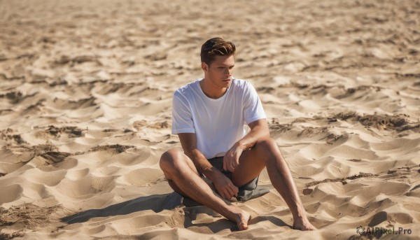 solo,short hair,brown hair,shirt,black hair,1boy,sitting,closed mouth,full body,white shirt,short sleeves,male focus,outdoors,shorts,barefoot,day,dark skin,shadow,beach,black shorts,dark-skinned male,t-shirt,realistic,sand,photo background,leg hair,water,facial hair,beard,arm hair