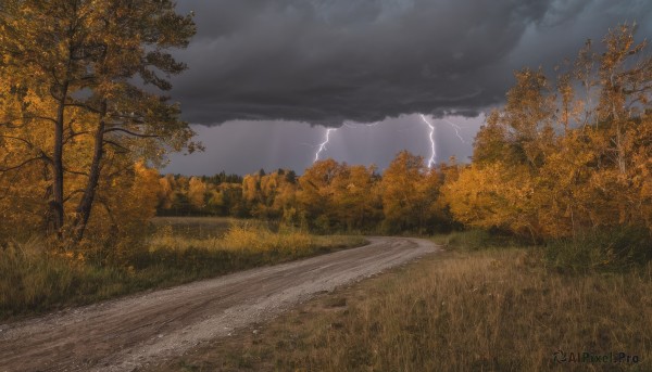 outdoors,sky,day,cloud,tree,no humans,sunlight,cloudy sky,grass,nature,scenery,forest,road,bush,lightning,landscape,path,leaf,rain,mountain,electricity,field