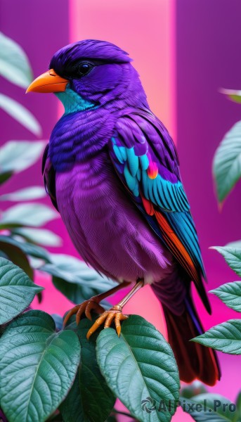 solo,looking at viewer,closed mouth,full body,blurry,black eyes,from side,pokemon (creature),no humans,depth of field,blurry background,bird,animal,leaf,feathers,plant,purple background,animal focus,talons,beak,simple background,standing,artist name,watermark,pink background,parrot