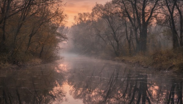 outdoors,sky,cloud,tree,dutch angle,no humans,sunlight,grass,building,nature,scenery,forest,reflection,sunset,road,bare tree,landscape,fog,path,water,leaf,cloudy sky,river,lake,reflective water