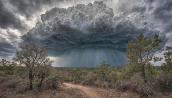 A vibrant landscape captured in day