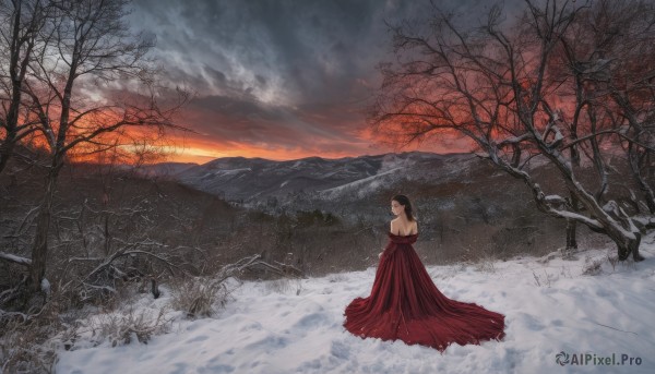 1girl,solo,long hair,brown hair,black hair,dress,bare shoulders,standing,outdoors,sky,looking back,cloud,from behind,tree,strapless,back,red dress,cloudy sky,nature,scenery,strapless dress,snow,sunset,mountain,backless outfit,long dress,bare back,backless dress,winter,bare tree,ponytail,wide shot,landscape