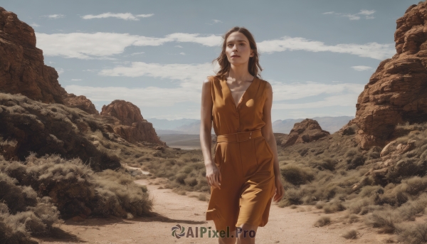 1girl,solo,long hair,blue eyes,brown hair,black hair,standing,collarbone,outdoors,sky,day,cloud,looking to the side,cloudy sky,rock,mountain,realistic,jumpsuit,desert,breasts,brown eyes,jewelry,earrings,parted lips,medium hair,necklace,blue sky,lips,scenery,sand