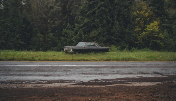 outdoors,day,tree,no humans,grass,ground vehicle,nature,scenery,motor vehicle,forest,car,road,vehicle focus,power lines,utility pole,signature,realistic,bush