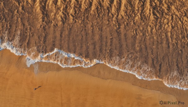 outdoors,day,water,tree,no humans,traditional media,beach,nature,scenery,forest,sand,shore,footprints,ocean,from above,waves,orange theme