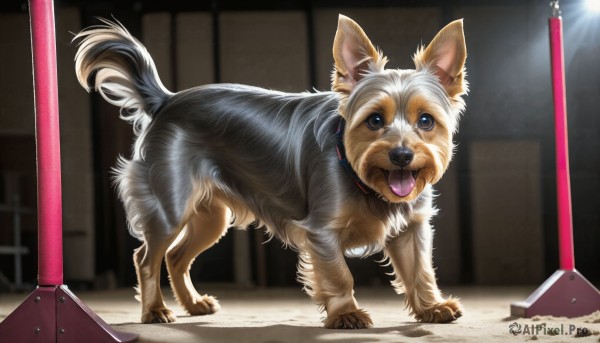 HQ,solo,looking at viewer,open mouth,brown eyes,full body,tongue,indoors,tongue out,blurry,collar,no humans,animal,dog,realistic,leash,animal focus,pet bowl,pet,standing,tail,weapon,outdoors,blurry background,fangs,lamppost,animal collar