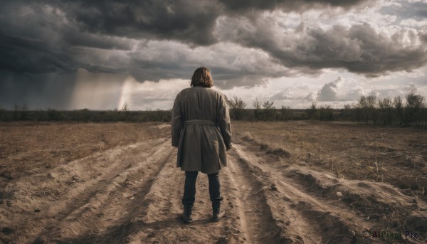 solo,short hair,brown hair,black hair,long sleeves,1boy,standing,full body,male focus,boots,outdoors,sky,day,pants,cloud,from behind,tree,coat,black pants,sunlight,cloudy sky,grass,nature,scenery,forest,facing away,field,light rays,sunbeam