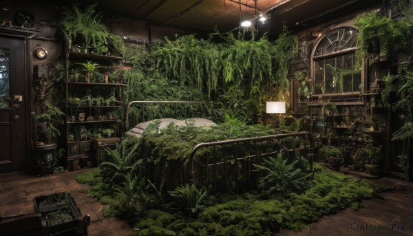 indoors,tree,book,no humans,window,chair,table,plant,scenery,stairs,door,bookshelf,potted plant,lamp,vines,shelf,ceiling,ceiling light,overgrown,bed,wooden floor,ruins