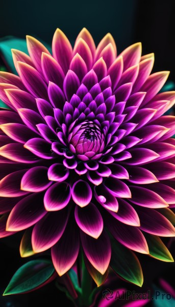 A delightful capture of a abstract within background