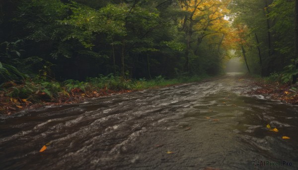 outdoors,day,tree,dutch angle,no humans,leaf,sunlight,grass,nature,scenery,forest,light rays,road,autumn leaves,dappled sunlight,autumn,path,plant,lamppost