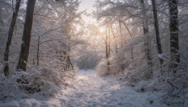 A peaceful snowy outdoors with a unique subject