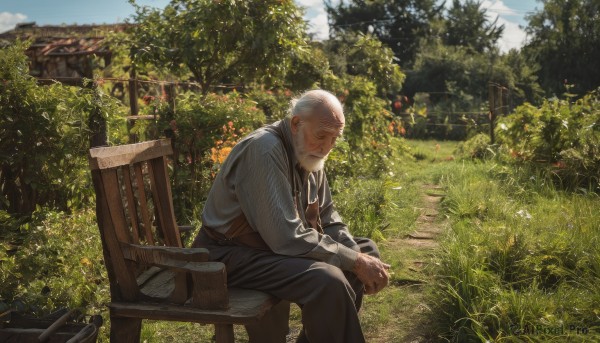 solo,shirt,long sleeves,1boy,sitting,closed mouth,white shirt,white hair,male focus,outdoors,sky,day,pants,cloud,tree,book,feet out of frame,facial hair,scar,chair,black pants,own hands together,grass,plant,building,nature,scenery,beard,scar on face,basket,house,old,old man,wrinkled skin,closed eyes,vest,blue sky,realistic